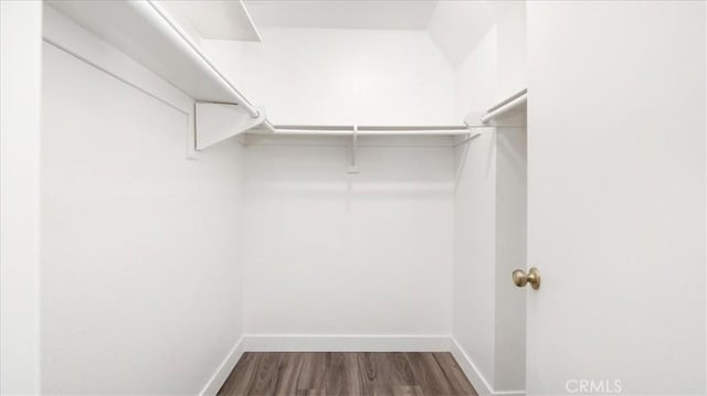 walk in closet featuring wood-type flooring