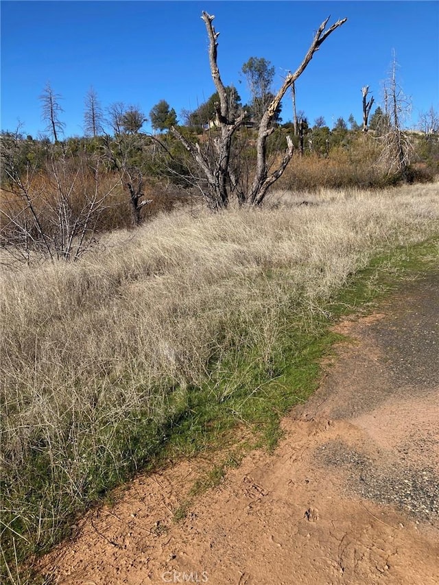 Listing photo 3 for 4279 Big Bend Rd, Oroville CA 95965