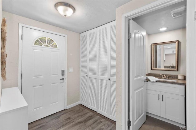 foyer entrance featuring sink and dark wood-type flooring