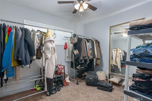 spacious closet with ceiling fan and carpet flooring