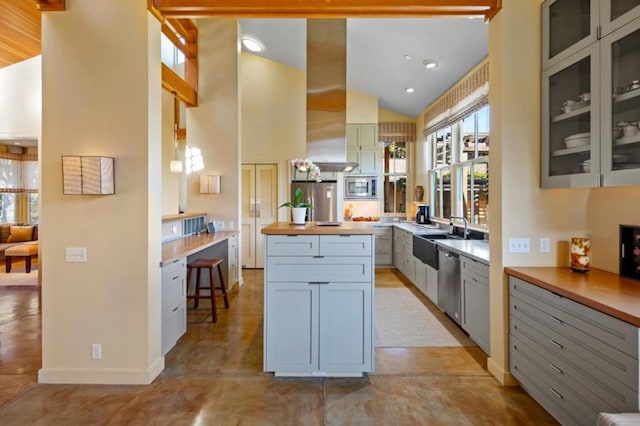 kitchen featuring a healthy amount of sunlight, appliances with stainless steel finishes, high vaulted ceiling, and sink