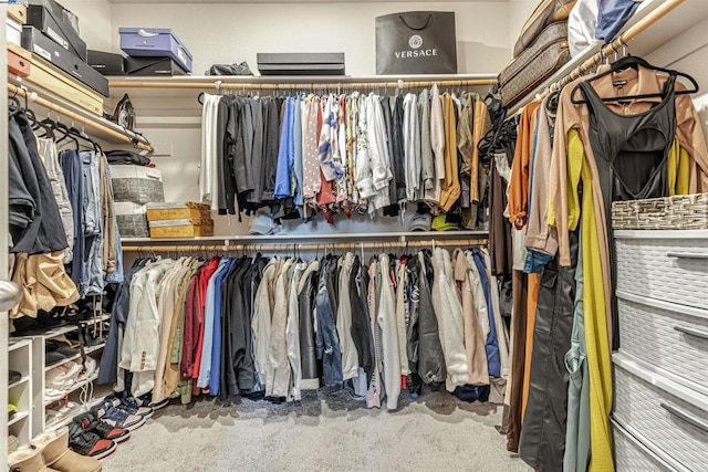 walk in closet featuring carpet flooring