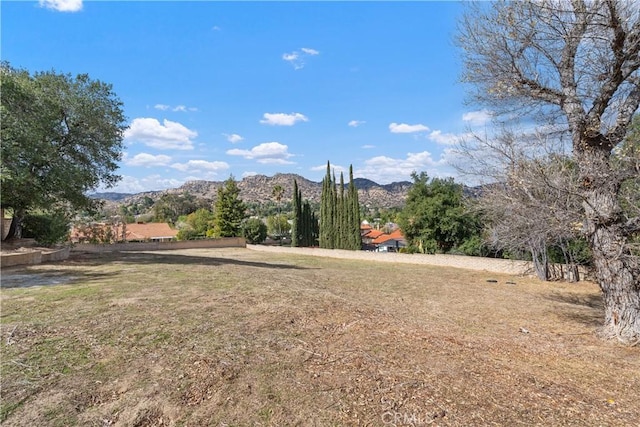 view of yard with a mountain view