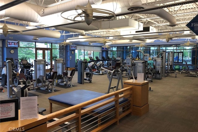 exercise room with carpet floors