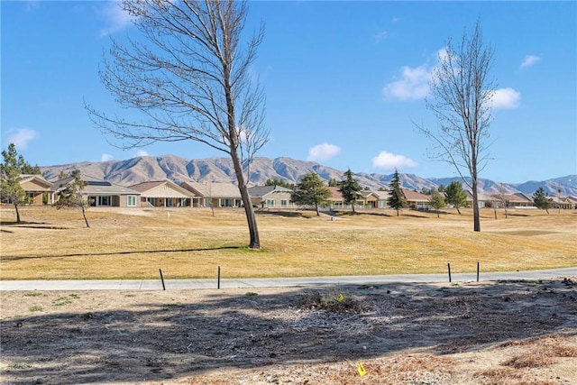 view of yard featuring a mountain view