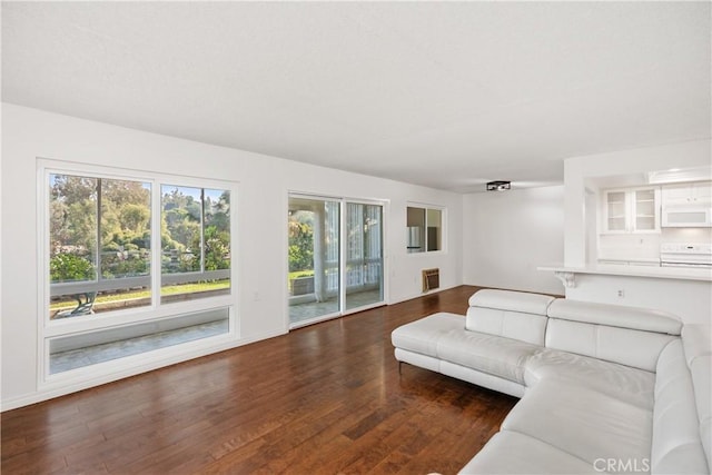 living room with dark hardwood / wood-style flooring