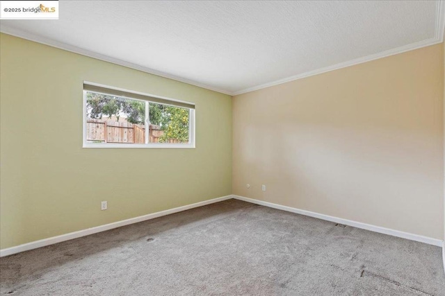 empty room featuring crown molding and carpet flooring