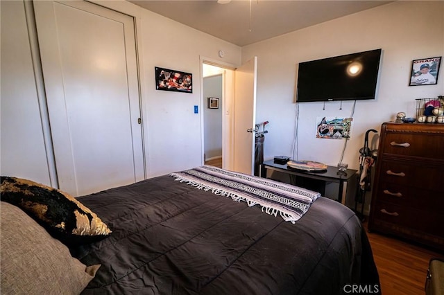 bedroom featuring dark hardwood / wood-style flooring