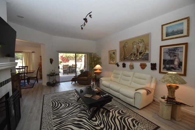 living room with hardwood / wood-style flooring and a wealth of natural light