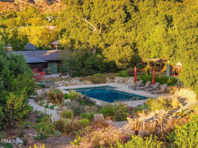 view of pool featuring a patio area