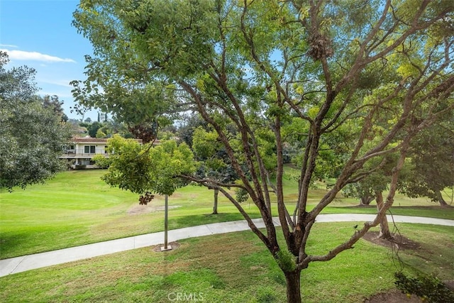 view of property's community with a yard