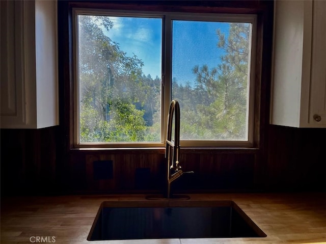 interior details featuring sink and white cabinets