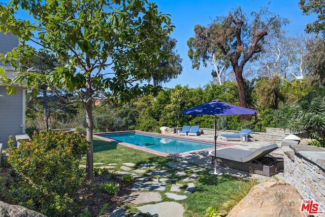 view of pool featuring a patio area