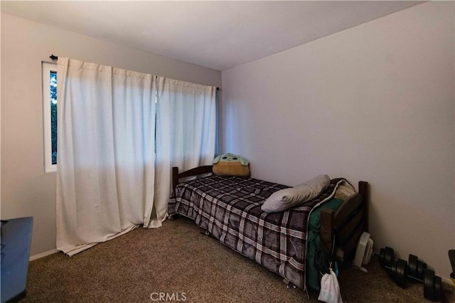 carpeted bedroom with multiple windows