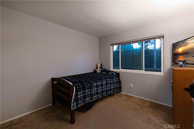 bedroom with carpet