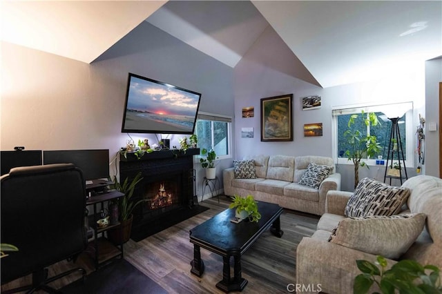 living room with dark wood-type flooring and lofted ceiling