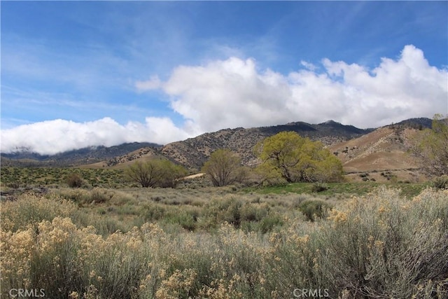 1790 S Kelso Rd, Weldon CA, 93283 land for sale