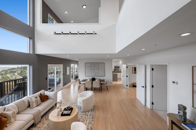 living room featuring light hardwood / wood-style floors