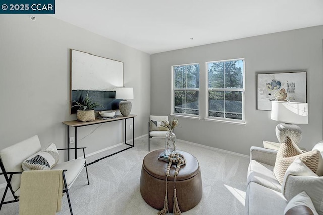 living area with light colored carpet