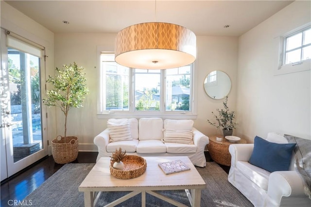 living room featuring dark hardwood / wood-style flooring