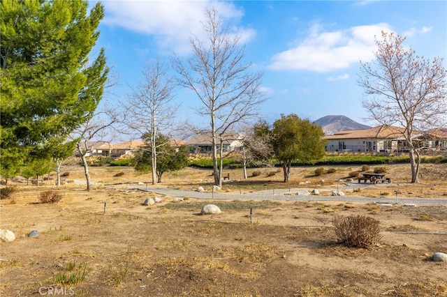 view of yard with a mountain view