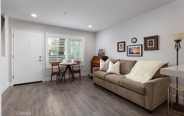 living room featuring wood-type flooring