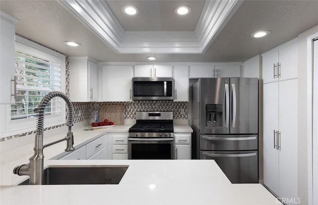 kitchen featuring sink, appliances with stainless steel finishes, white cabinetry, tasteful backsplash, and a tray ceiling