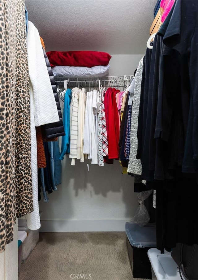 spacious closet with carpet