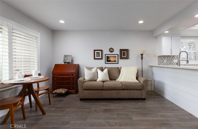 living room featuring dark hardwood / wood-style flooring and sink