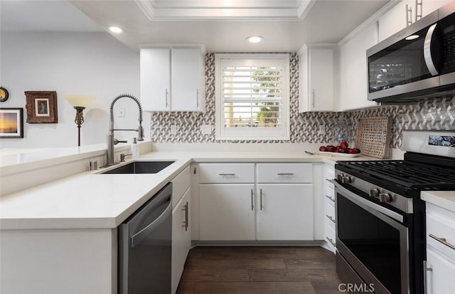 kitchen with white cabinetry, sink, dark hardwood / wood-style floors, and appliances with stainless steel finishes