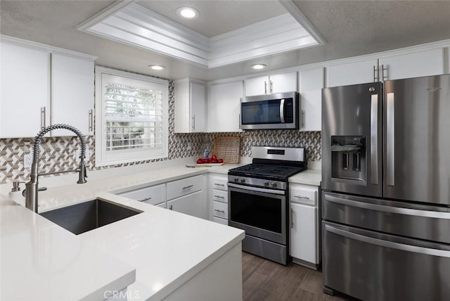 kitchen featuring white cabinetry, appliances with stainless steel finishes, a tray ceiling, and sink