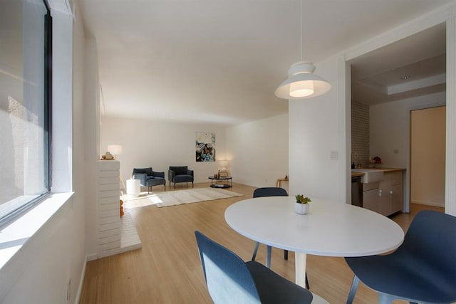 dining area with light hardwood / wood-style flooring