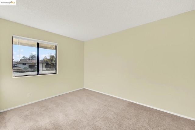 unfurnished room with light colored carpet and a textured ceiling