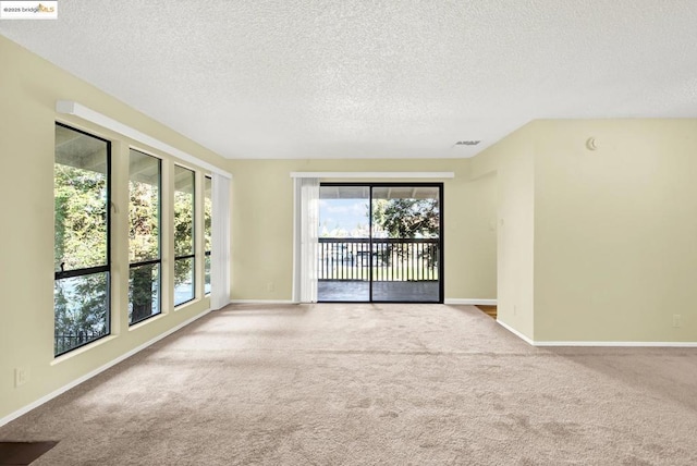 carpeted empty room featuring a textured ceiling