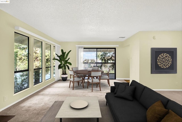 carpeted living room with a textured ceiling