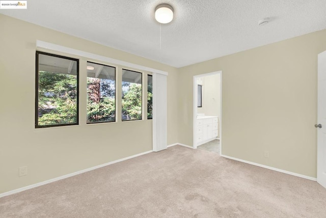 carpeted spare room with a textured ceiling