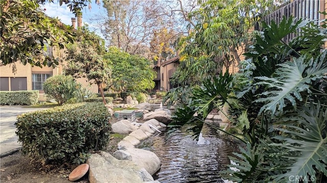 view of yard with a small pond