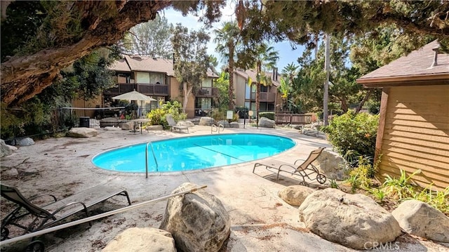 view of pool with a patio area