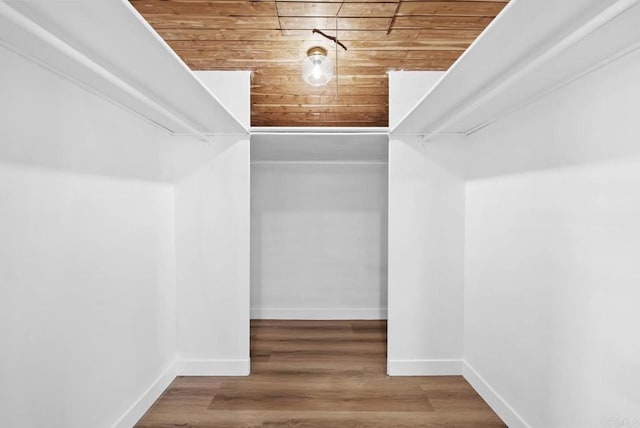 walk in closet with hardwood / wood-style flooring