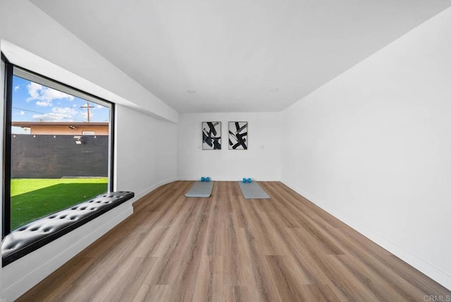 workout area featuring hardwood / wood-style floors