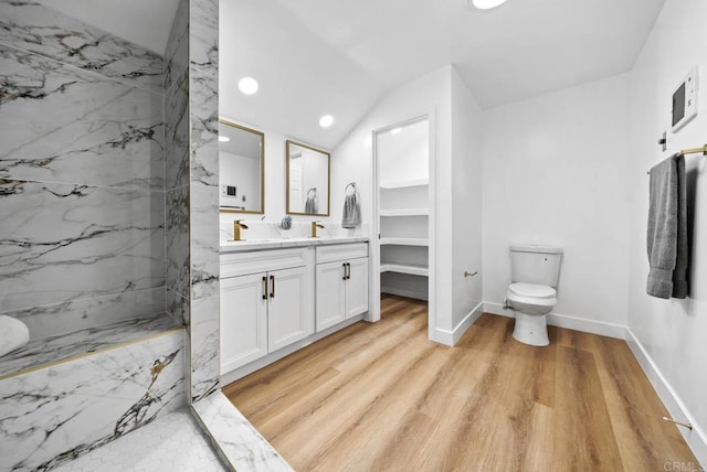 bathroom with vanity, wood-type flooring, toilet, and walk in shower