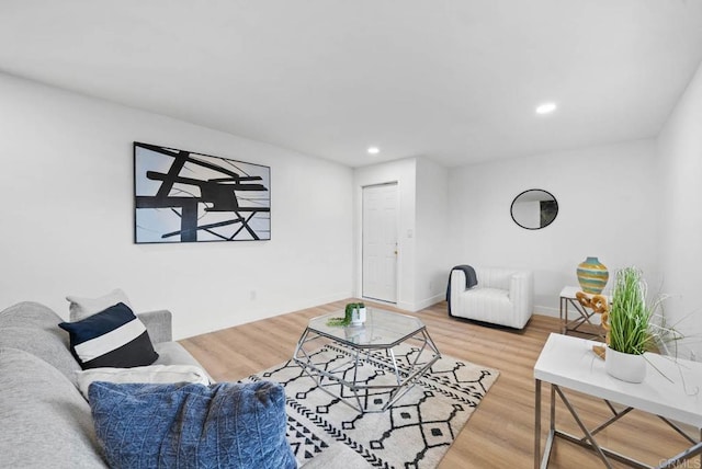 living room featuring wood-type flooring