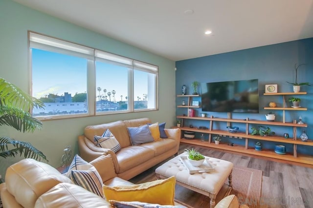 living room featuring wood-type flooring