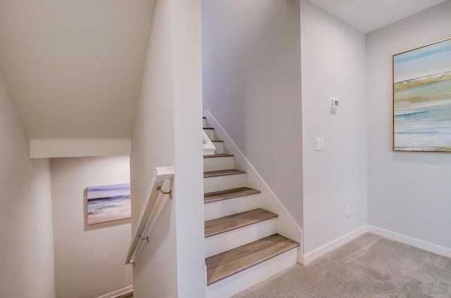 stairway with carpet floors