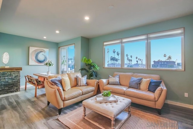 living room with hardwood / wood-style flooring