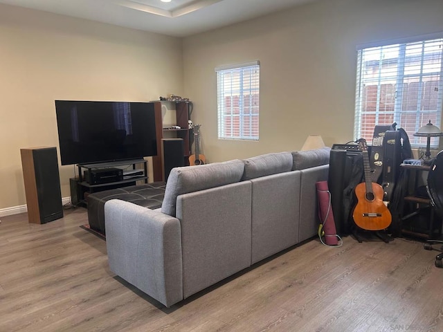 living room featuring hardwood / wood-style floors