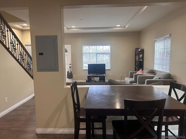 dining space with a raised ceiling, a wealth of natural light, electric panel, and dark hardwood / wood-style flooring