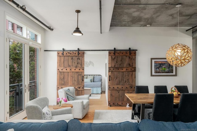 living room featuring light hardwood / wood-style flooring and a barn door