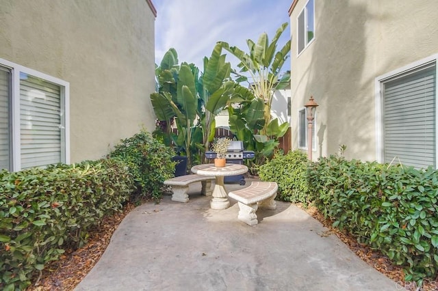 view of yard featuring a patio