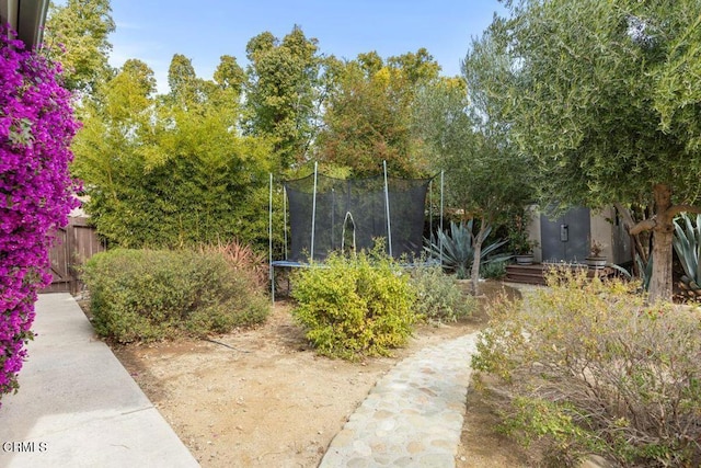 view of yard with a trampoline